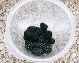 Foto del paso 1 de la receta: Batido de fresas y moras