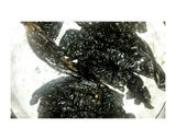 Foto del paso 9 de la receta: Mole oaxaqueño