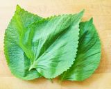 রুজোট পাতার বড়া। Perilla leaf fritters রেসিপির ধাপ 4 ছবি