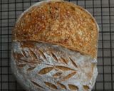 Foto langkah ke 12 dari resep Country Sourdough Bread (Mix gandum, 70% Hydration).