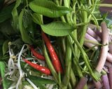 Hình bước làm 3 của món Mắm kho bình dân