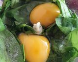 Foto del paso 1 de la receta: Arrolladito de Espinaca sin harina
