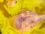 Opor Ayam Kuah Medok Kental