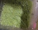 Foto del paso 3 de la receta: Verdolaga en salsa verde (Verdolag nit chuz)