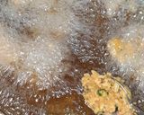 A picture of step 4 of Lauki pakore with leftover rice.
