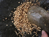 Bumbu dasar Coto Makassar