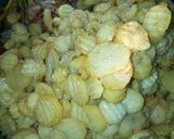 A picture of step 12 of Sultan chips.