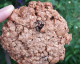 Foto del paso 4 de la receta: Cookies de avena