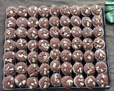 Foto langkah ke 9 dari resep Mini Brownies.