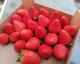 Foto del paso 1 de la receta: Ramo de fresas con chocolate 🍓🍫💐