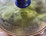 A picture of step 1 of Gnudi.