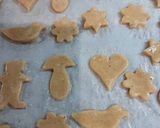 Foto del paso 7 de la receta Galletas caseras con TMX