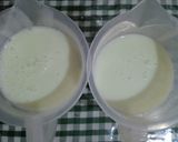 Foto langkah ke 2 dari resep Puding Susu Luwak White Coffe.