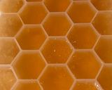 Foto del paso 2 de la receta: Cubitos de té de jengibre, cúrcuma y canela