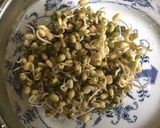 A picture of step 3 of California Farm Indoor Mung Bean Sprouts.