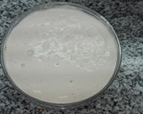 Foto del paso 3 de la receta: Ensaimadas