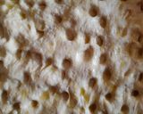 Foto del passaggio 19 della ricetta Focaccia farcita