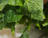 Foto langkah ke 3 dari resep Sayur Bobor Daun Labu Kuning.