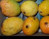 A picture of step 1 of Mango roll.