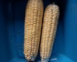 Foto langkah ke 1 dari resep Jagung Bakar Teflon.