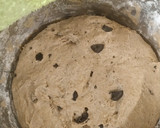 Foto del paso 2 de la receta: Pan de centeno y espelta con aceitunas negras