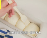【優格蜂蜜迷你吐司】手揉免機器｜磅蛋糕模的食譜步驟16照片