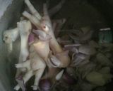Foto langkah ke 4 dari resep Sop ceker telur puyuh simpel.