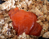 Foto del paso 3 de la receta: Pimientos rellenos de carne picada y arroz (horno)