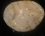 A picture of step 3 of Twice Cooked Pork Roast Fried Tacos.