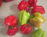 Foto del paso 3 de la receta: Salsa de tomate África occidental