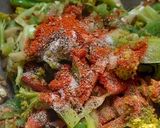 A picture of step 7 of Broccoli Pasta salad.