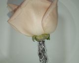 Foto del paso 15 de la receta: Torta de limón y flor de sauco