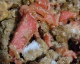 A picture of step 3 of Mutton Kalaiji.
