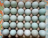 Foto langkah ke 1 dari resep Telur Asin Homemade.