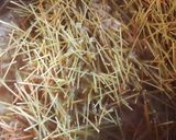 Foto del paso 2 de la receta: Arroz Árabe