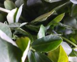 মেথি পরোটা (Methi parota recipe in bengali) রেসিপি ধাপ - 1 ছবি