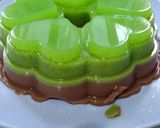 Foto langkah ke 6 dari resep Puding Lumut Coklat.