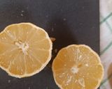 Az én lencsefőzelékem :) recept fázis 6 fotója