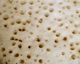 A picture of step 7 of Set Dosa.