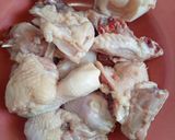 Foto langkah ke 3 dari resep Opor ayam simple.