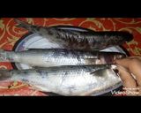 صورة لخطوة 3 من وصفة طريقة الفسيخ الاصليه