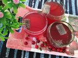 شربت آلبالو با یخ تخم شربتی