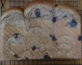 Foto langkah ke 4 dari resep Choco chips Loaf (Roti tawar chocochip), Bread T@lk KW.