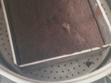 Brownies "Amanda" KW Super