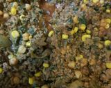 A picture of step 3 of Bolognese.