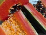 Sayur Pepaya Simple / Sayur Buah Pepaya Mengkal