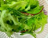 ［VAGAN] OMNI新鮪魚起司潛艇堡的食譜步驟1照片