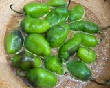 Foto langkah ke 4 dari resep 158. Ase Cabe Gendot ala Teh Shanty.