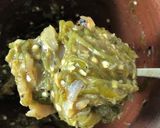 A picture of step 3 of Chiang Mai Food /Northern Thai Food "Nam Prik Noom" or Thai Green Chili Dipping.