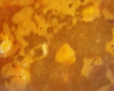 Foto del paso 8 de la receta: Arroz con Rape y Langostino Tigre a la Paella Terminado en el Horno